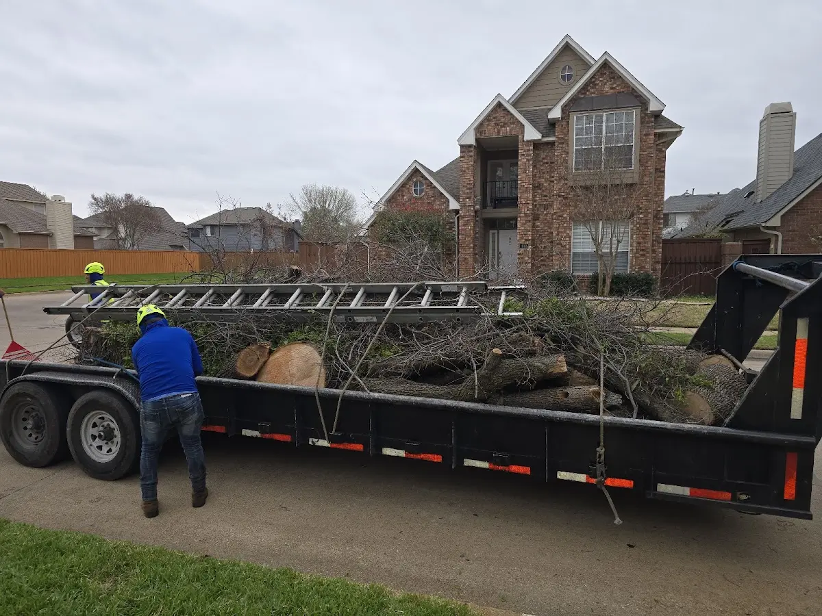Expert Tree Fertilization with proper safety equipment in Parker